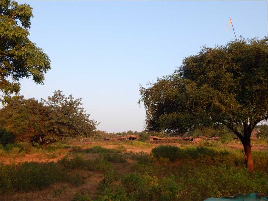 Huts of Locals inside the Gir National Park, Gir blog by The Kid Who Travelled.