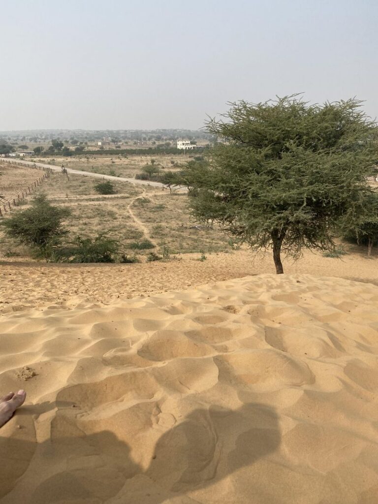 Close-up of wind-sculpted patterns on the surface of the sand dunes in Jaisalmer, blog by The Kid Who Travelled.