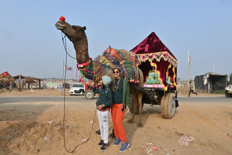 The Kid Who Travelled with Decorated camel at the Pushkar Camel Fair, Rajasthan blog by The Kid Who Travelled.